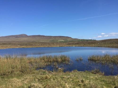 a lake in a field with hills in the background at Western Greenway B&B in Newport