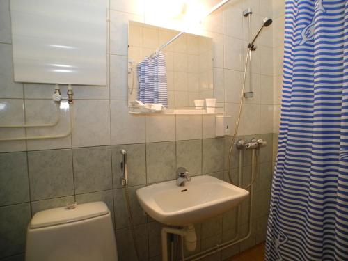 a bathroom with a sink and a toilet and a mirror at Hotelli Anna Kern in Imatra