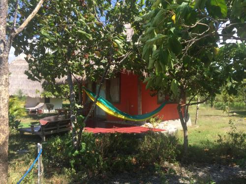 a hammock in front of a house between two trees at Oro Beach Houses in Weetebula