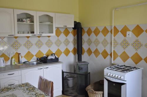 uma cozinha com um fogão e um fogão forno superior em Lately renovated country house em Trenčín