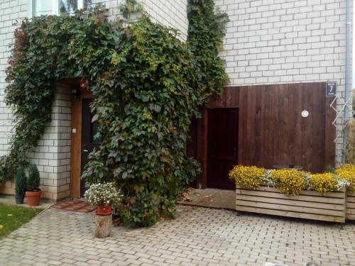 a front door of a house with a large plant at ElitasBB in Carnikava