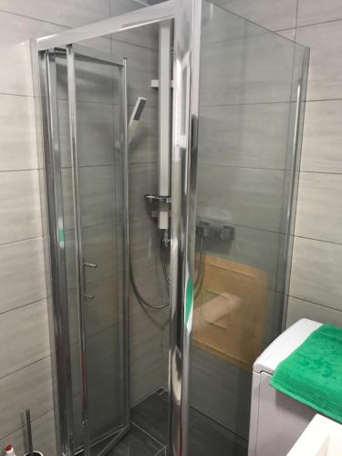 een douche met een glazen deur in de badkamer bij Apartman Petra 2 in Vir