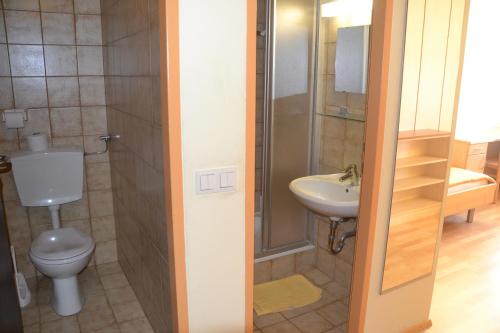 Vonios kambarys apgyvendinimo įstaigoje Mladinski dom - Hostel