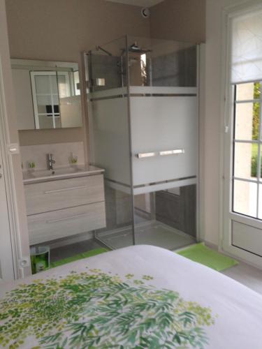 a bedroom with a bed and a sink and a mirror at Chambres d'hôtes Le Bignon in Villaines-la-Juhel