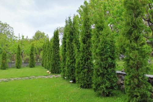 Zahrada ubytování Aya Maria Wellness SPA Resort