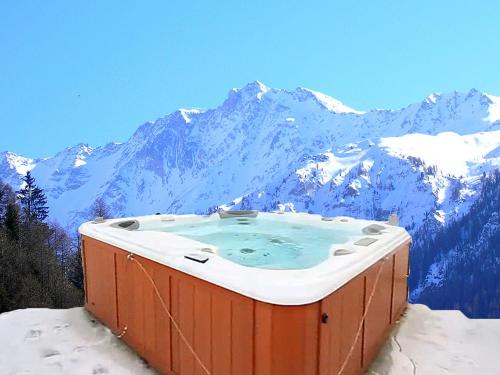 ペイゼ・ナンクロワにあるNew and very comfortable chalet with many facilitiesの雪に覆われた山の上にあるホットタブ