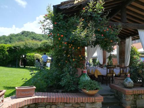 un pergolato con un mucchio di aranci di Osteria I'Casolare a San Giovanni Valdarno