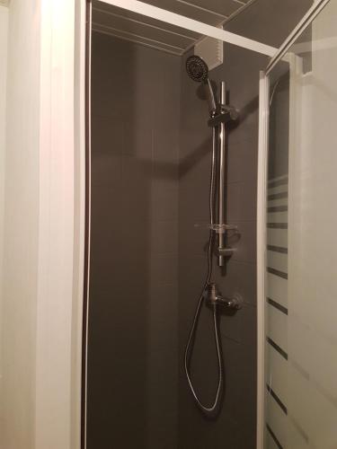 La salle de bains est pourvue d'une douche avec un pommeau de douche. dans l'établissement Les lecques Turquoise, à Saint-Cyr-sur-Mer