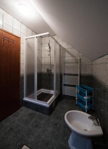 a bathroom with a shower and a toilet and a sink at Apartment Barica in Smoljanac