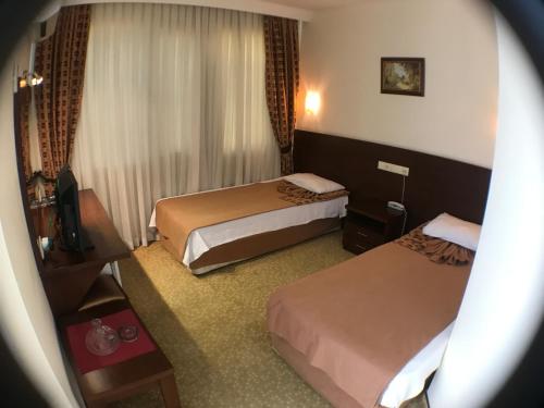 アンタルヤにあるアタエル ホテルのベッド2台とテレビが備わるホテルルームです。