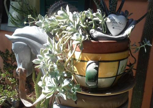 a potted plant sitting on top of a table at Cà D' Rot - Casa Ratti in Vinchio