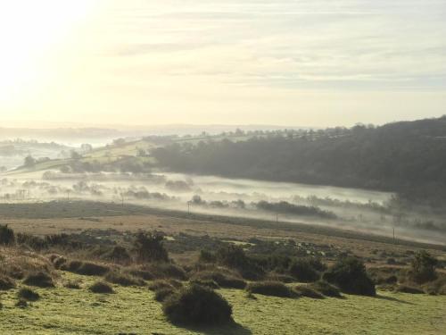 a field with fog in a field with trees and hills at The Barn, Lower Spring in Tavistock