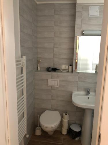 a bathroom with a toilet and a sink at SMP apartment 3 in Timişoara