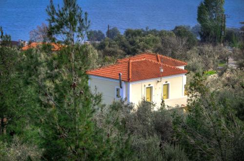 Gallery image of Gera's Olive Grove - Elaionas Lesvou in Perama