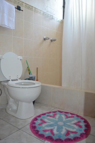 a bathroom with a toilet and a shower and a rug at Villas JABEL TINAMIT in Panajachel