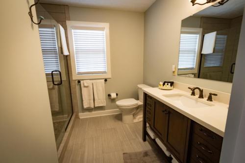 La salle de bains est pourvue d'un lavabo, de toilettes et d'un miroir. dans l'établissement Vineyard Woods, à Geneva