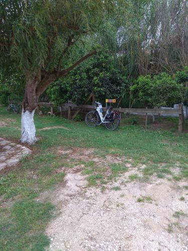 a bike parked under a tree next to a fence at Santa Maria in Vitalades