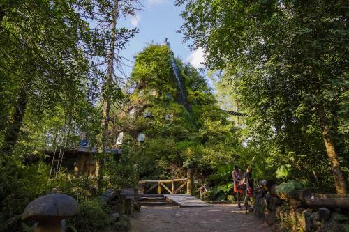 a group of people walking down a path in a garden at Huilo Huilo Montaña Mágica in Huilo Huilo
