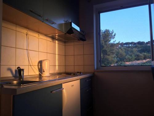 Apartment Mirela