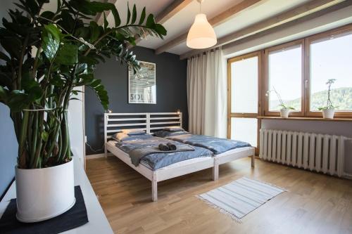a bedroom with a bed and a potted plant at Apartament pod Lawortą in Ustrzyki Dolne