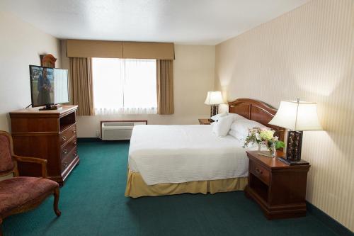 a hotel room with a bed and a television at Rogue Regency Inn & Suites in Medford
