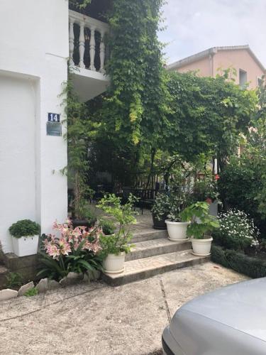 Apartments Antにある庭