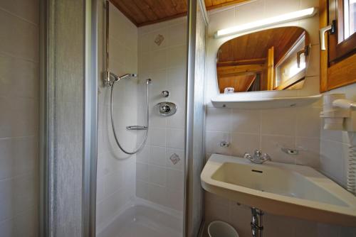 a bathroom with a sink and a shower at Piz da Cir in Colfosco