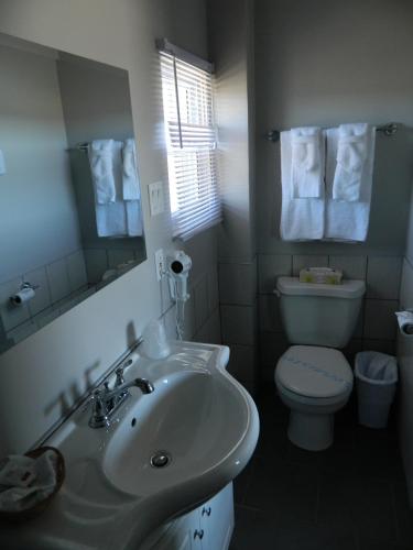a bathroom with a sink and a toilet and a mirror at Le Pirate Motel et Camping in Cap-Chat