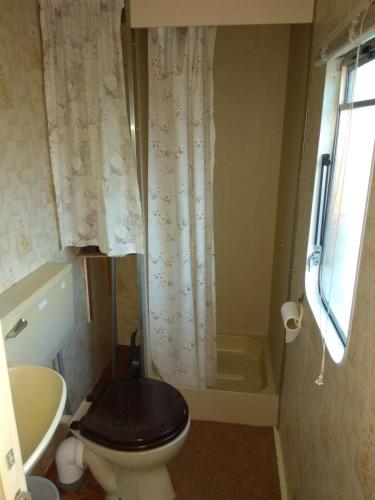 a bathroom with a toilet and a shower with a tub at Mobilheim Vyhlídka Camp Výrovice in Výrovice