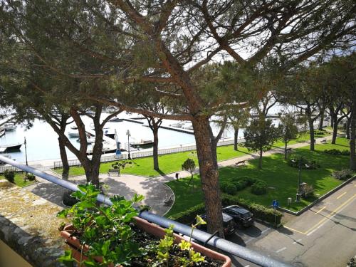 a view from a balcony of a park with a tree at Hotel Royal in Bolsena