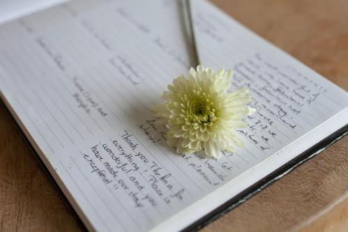 a flower sitting on top of a book at Paku Palms in Tairua
