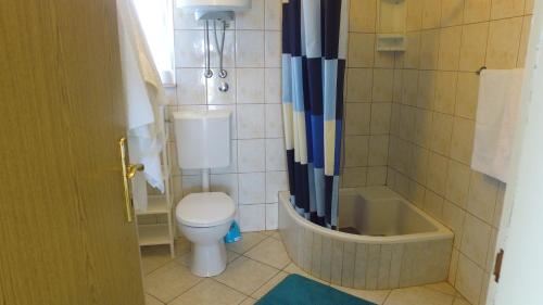 uma casa de banho com um WC e uma banheira em Apartment Karuza Rukavac em Vis