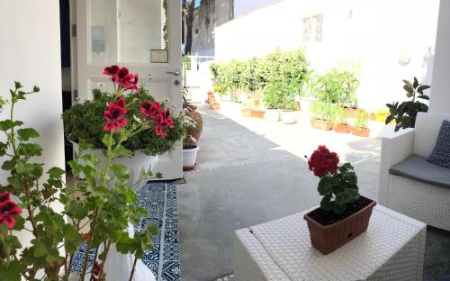 a row of potted plants on a room with a corridor at Villa Pollio Guest House in Anacapri
