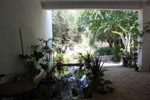 Κήπος έξω από το Casa las Marias