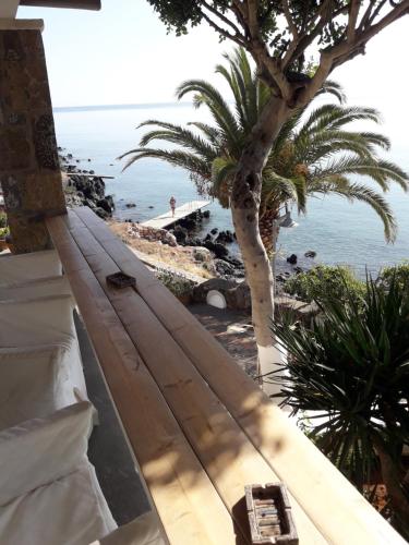 a view of a beach with a palm tree and the ocean at Skajado Holiday Apartments in Stalida