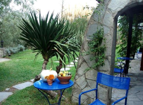 Gallery image of Villa Rena in Vourvourou