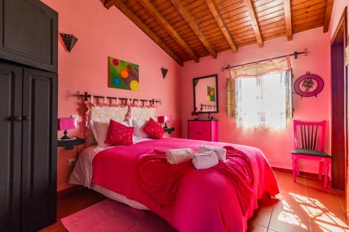 Легло или легла в стая в Monte do Costa