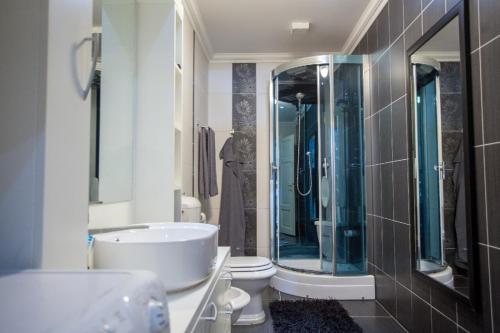 a bathroom with a sink and a toilet and a mirror at Villa Penkala Apartment in Opatija