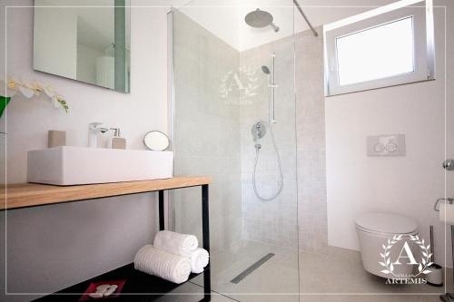 a bathroom with a sink and a shower at Villa Artemis in Žman