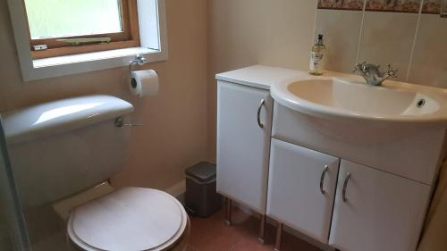 a bathroom with a white toilet and a sink at The Old Cottage in Arduaine
