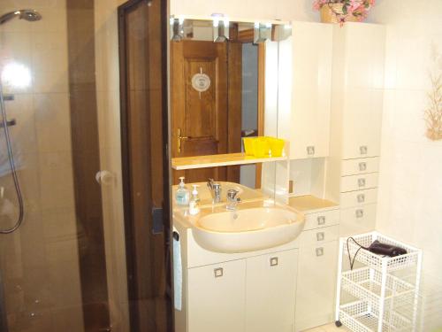 La salle de bains est pourvue d'un lavabo et d'une douche. dans l'établissement La casa di Beppe appartamento, à Danta