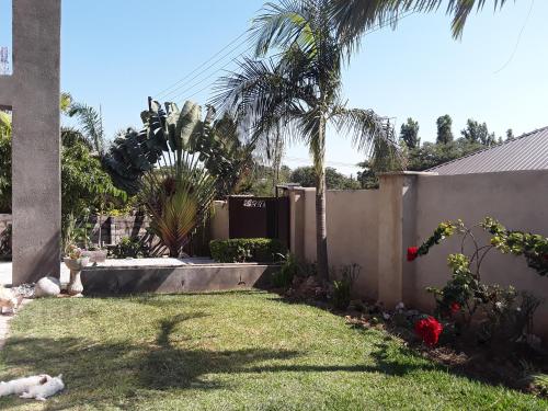a backyard with a fence and a yard with a dog at Unik studio Apartments in Lusaka