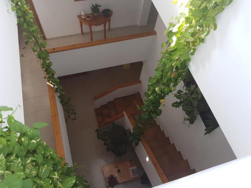 an overhead view of a staircase with plants at Casa Algaida in Sanlúcar de Barrameda