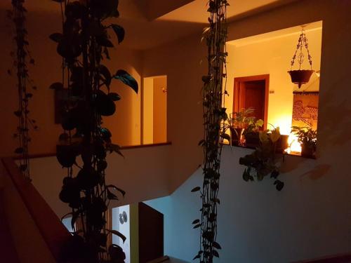 a room with a bunch of plants on the wall at Casa Algaida in Sanlúcar de Barrameda