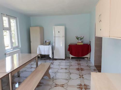 a kitchen with a refrigerator and a table in it at Guesthouse Luka in Martvili