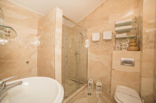 a bathroom with a shower and a toilet and a sink at Hotel Fiammanti in Herceg-Novi