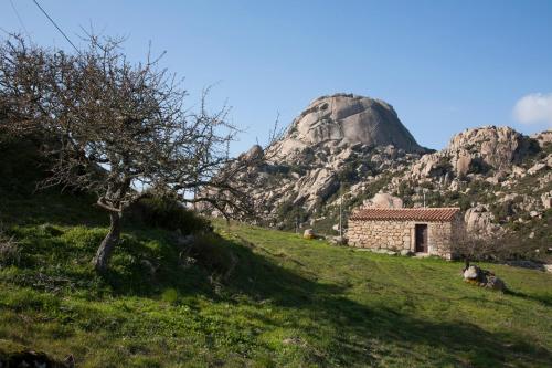 Φυσικό τοπίο κοντά σε αυτός ο ξενώνας