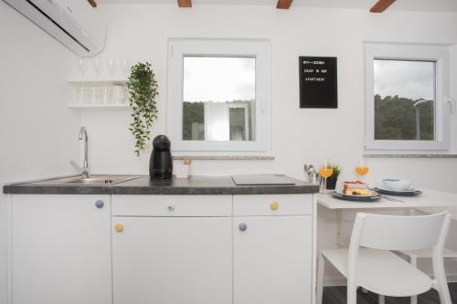 Η κουζίνα ή μικρή κουζίνα στο Studio Apartment Škatula