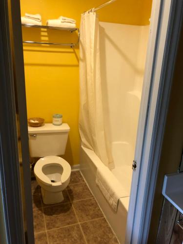 a bathroom with a white toilet and a bath tub at Americas Best Value Inn - Jonesville in Jonesville