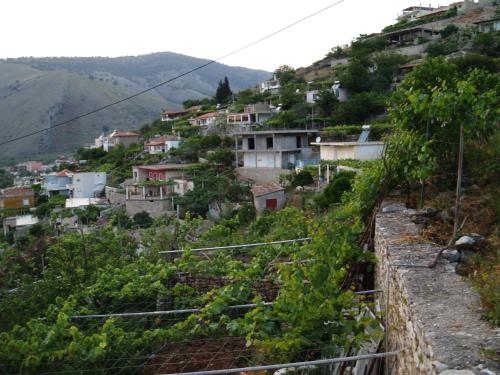a village on a hill with houses and vines at Belvedere Adriatica in Qeparo